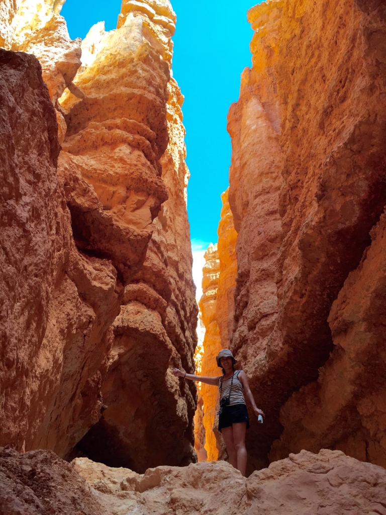 f:id:edatabi:20170514213728j:plain f:id:edatabi:20170514213728j:plain