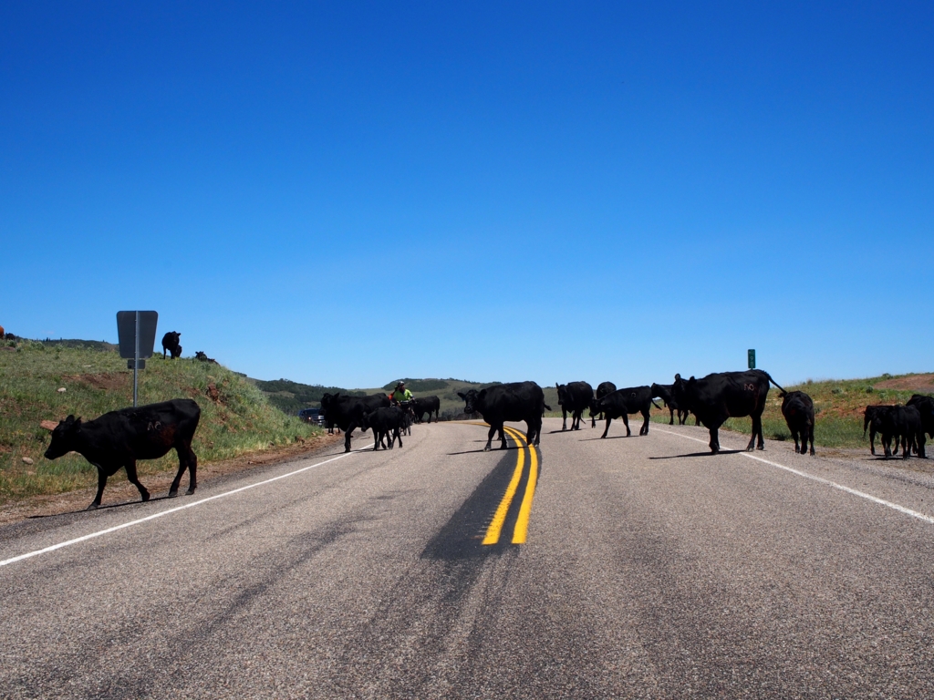 f:id:edatabi:20170519154902j:plain f:id:edatabi:20170519154902j:plain