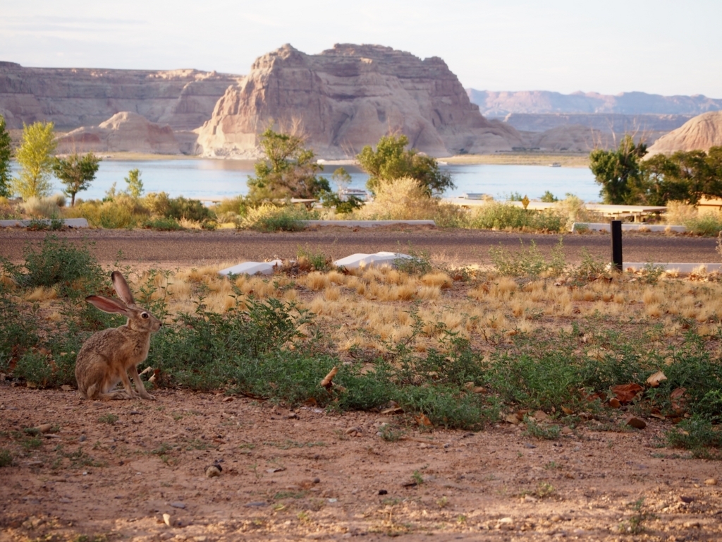 f:id:edatabi:20170623162827j:plain