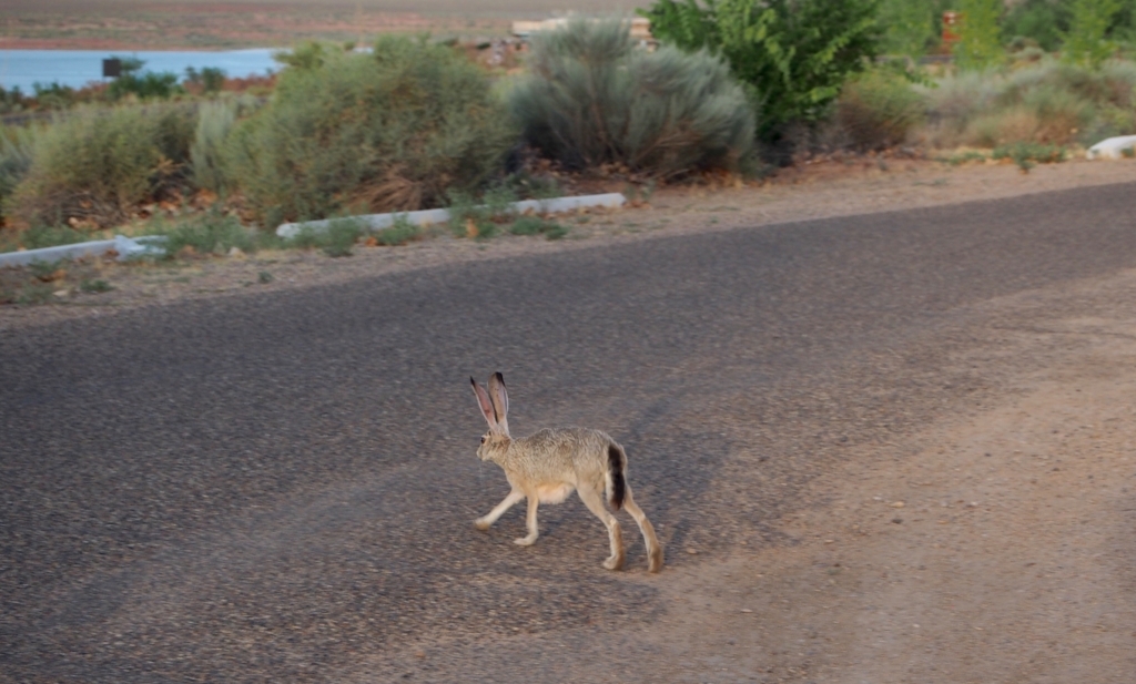 f:id:edatabi:20170623163258j:plain