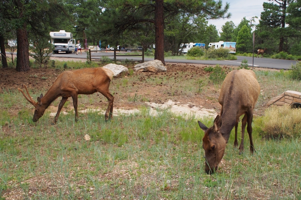 f:id:edatabi:20170811210532j:plain f:id:edatabi:20170811210532j:plain