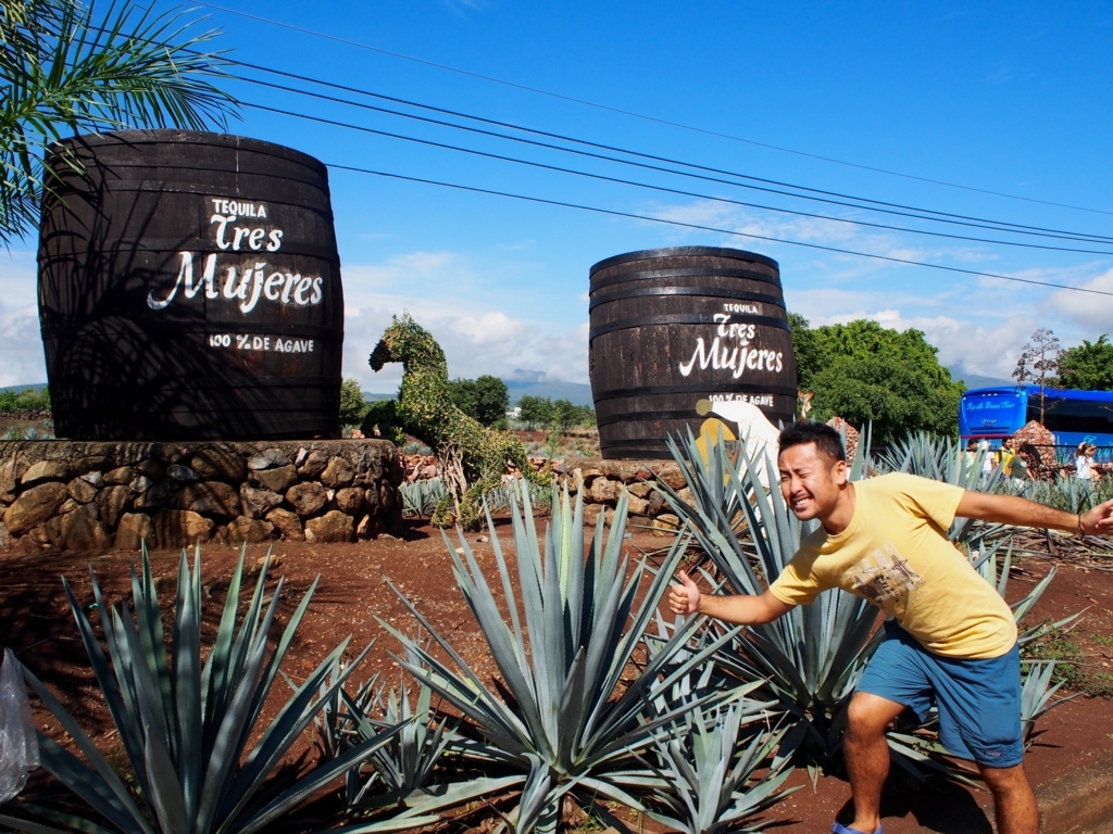 f:id:edatabi:20180306074727j:plain