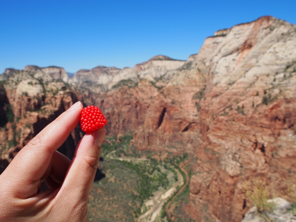 f:id:edatabi:20180320101948j:plain f:id:edatabi:20180320101948j:plain