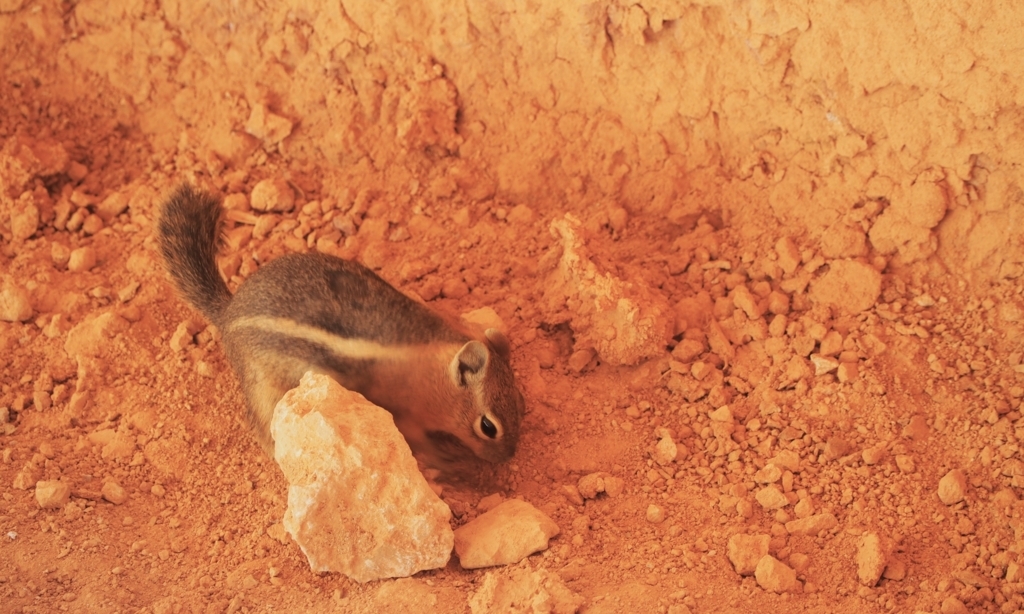 f:id:edatabi:20180321122012j:plain f:id:edatabi:20180321122012j:plain