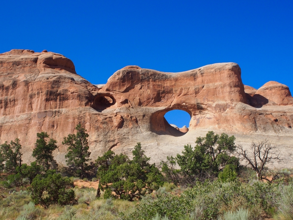 f:id:edatabi:20180323154030j:plain f:id:edatabi:20180323154030j:plain