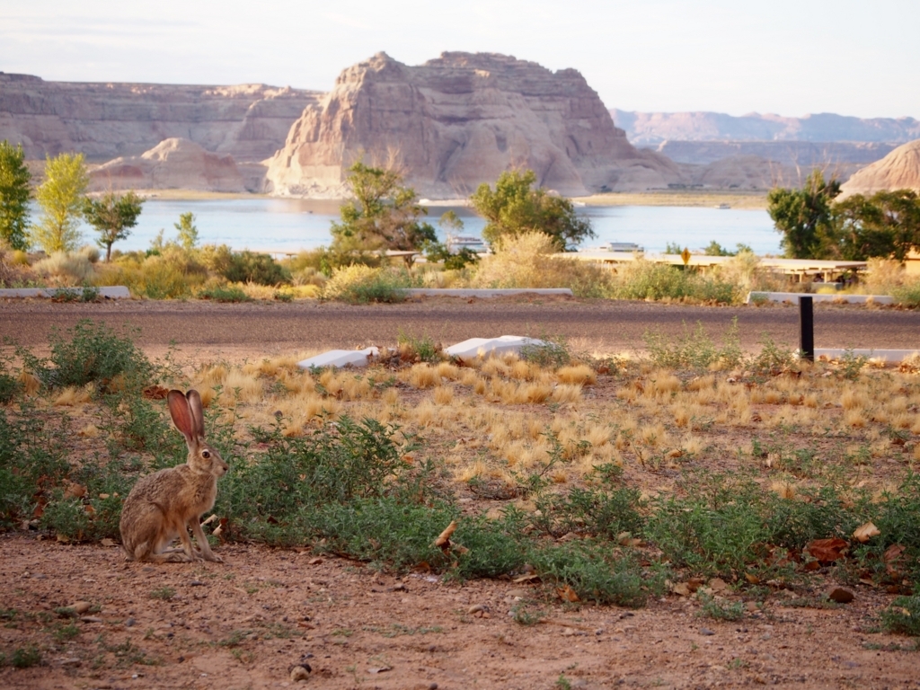 f:id:edatabi:20180327095356j:plain f:id:edatabi:20180327095356j:plain