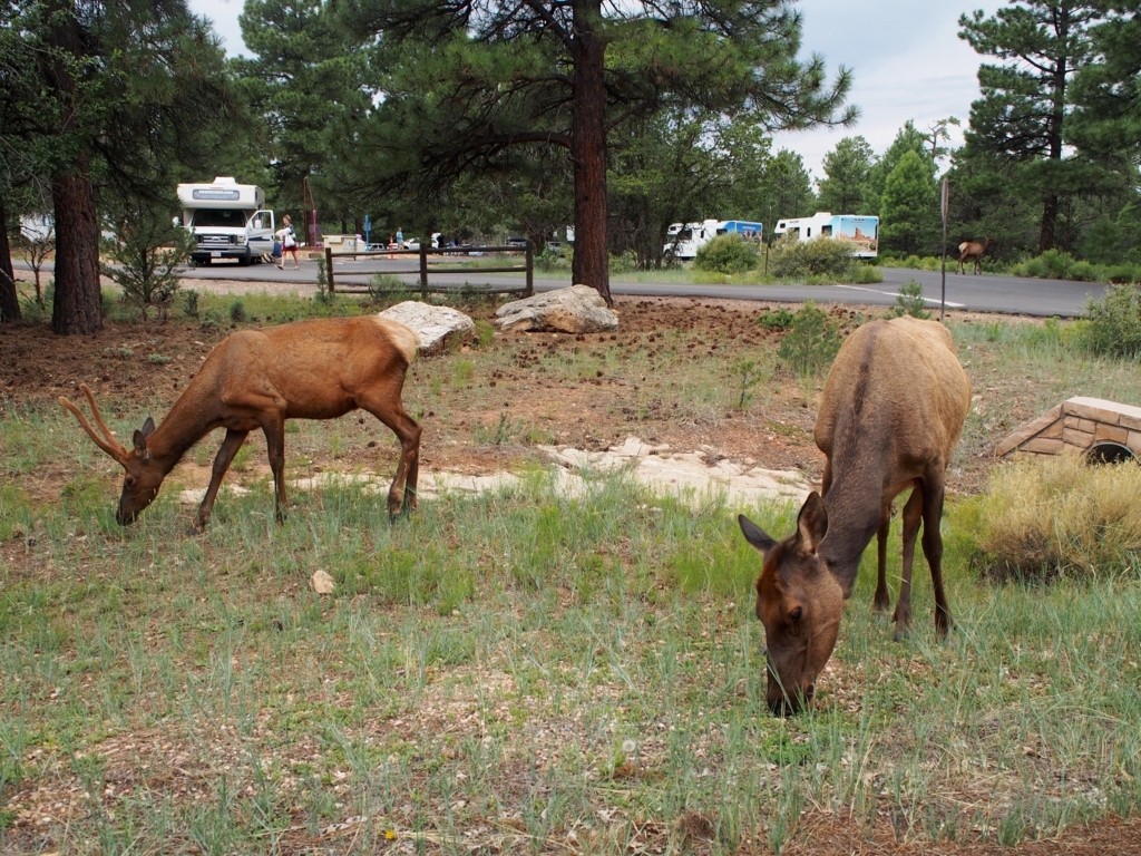 f:id:edatabi:20180327102104j:plain f:id:edatabi:20180327102104j:plain