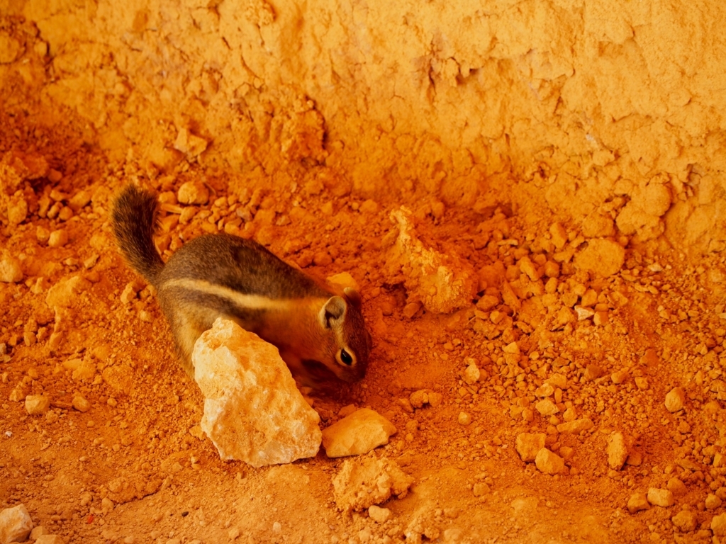 f:id:edatabi:20180327114301j:plain f:id:edatabi:20180327114301j:plain