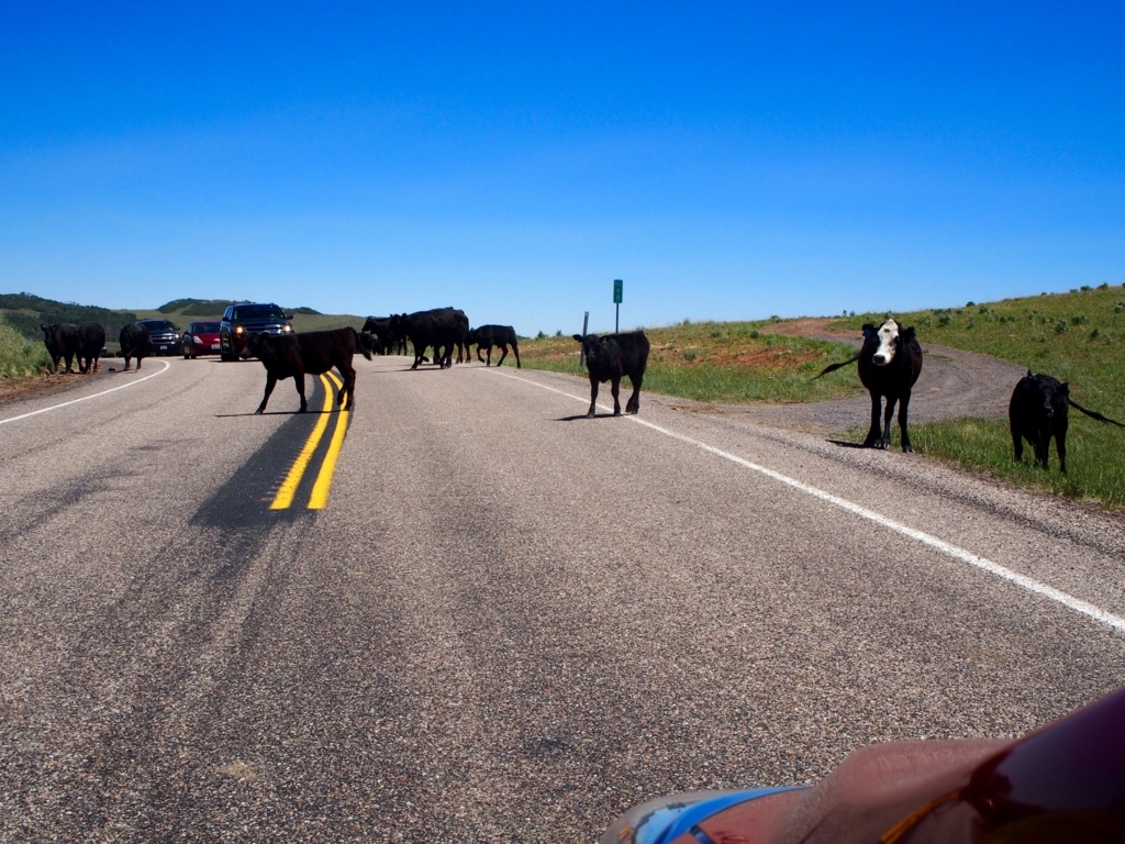 f:id:edatabi:20180329072921j:plain f:id:edatabi:20180329072921j:plain