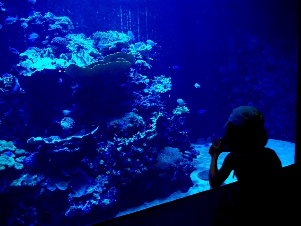 f:id:edatabi:20180511121121j:plain f:id:edatabi:20180511121121j:plain