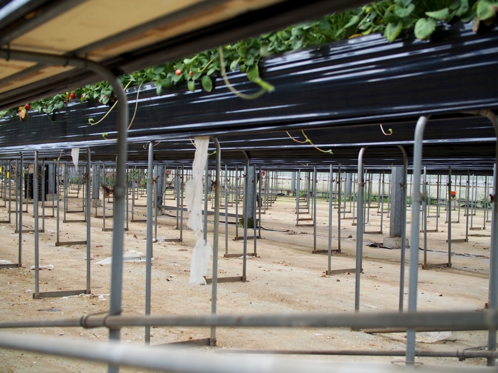 f:id:edatabi:20180511144251j:plain f:id:edatabi:20180511144251j:plain