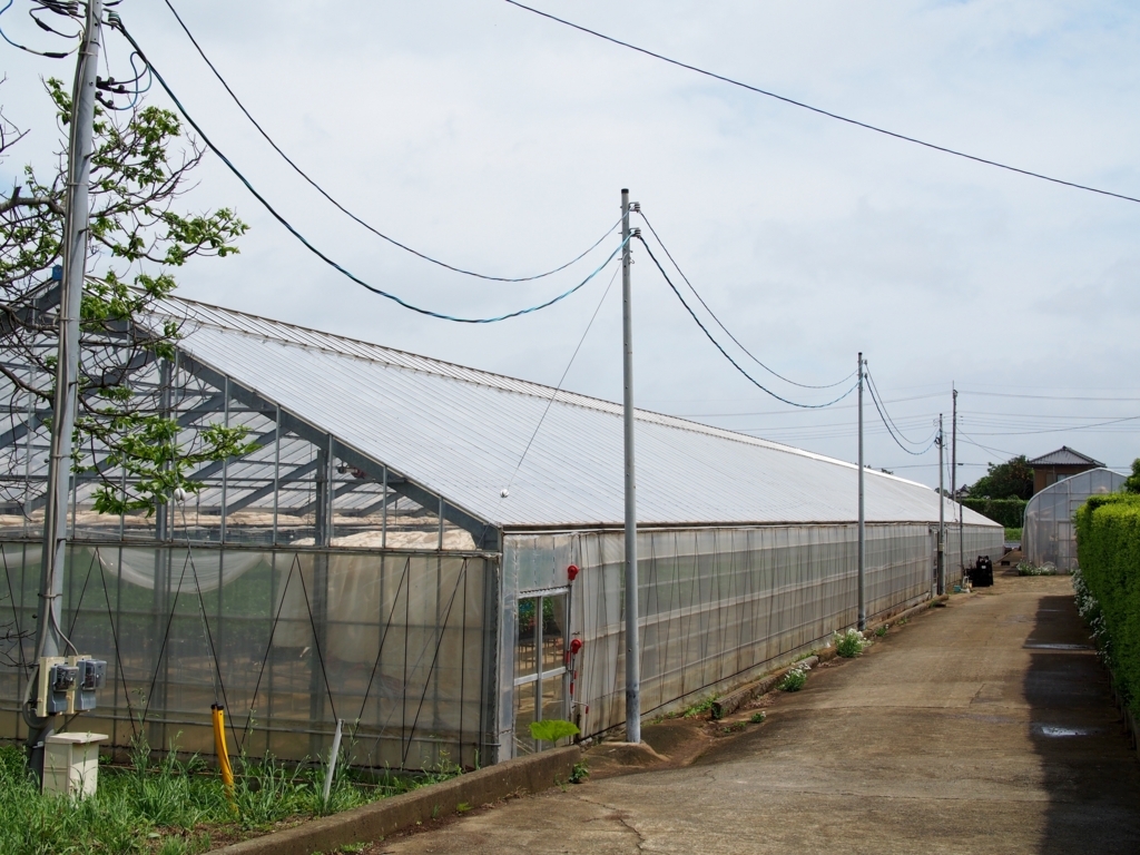 f:id:edatabi:20180511144340j:plain f:id:edatabi:20180511144340j:plain