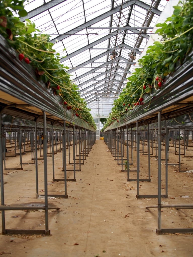 f:id:edatabi:20180511144440j:plain f:id:edatabi:20180511144440j:plain