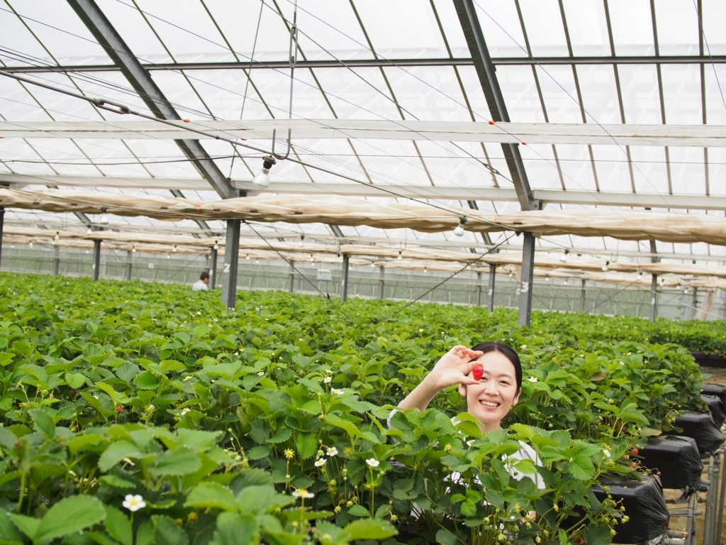 f:id:edatabi:20180511144647j:plain f:id:edatabi:20180511144647j:plain