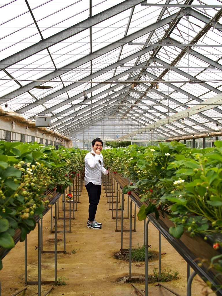 f:id:edatabi:20180511144716j:plain f:id:edatabi:20180511144716j:plain