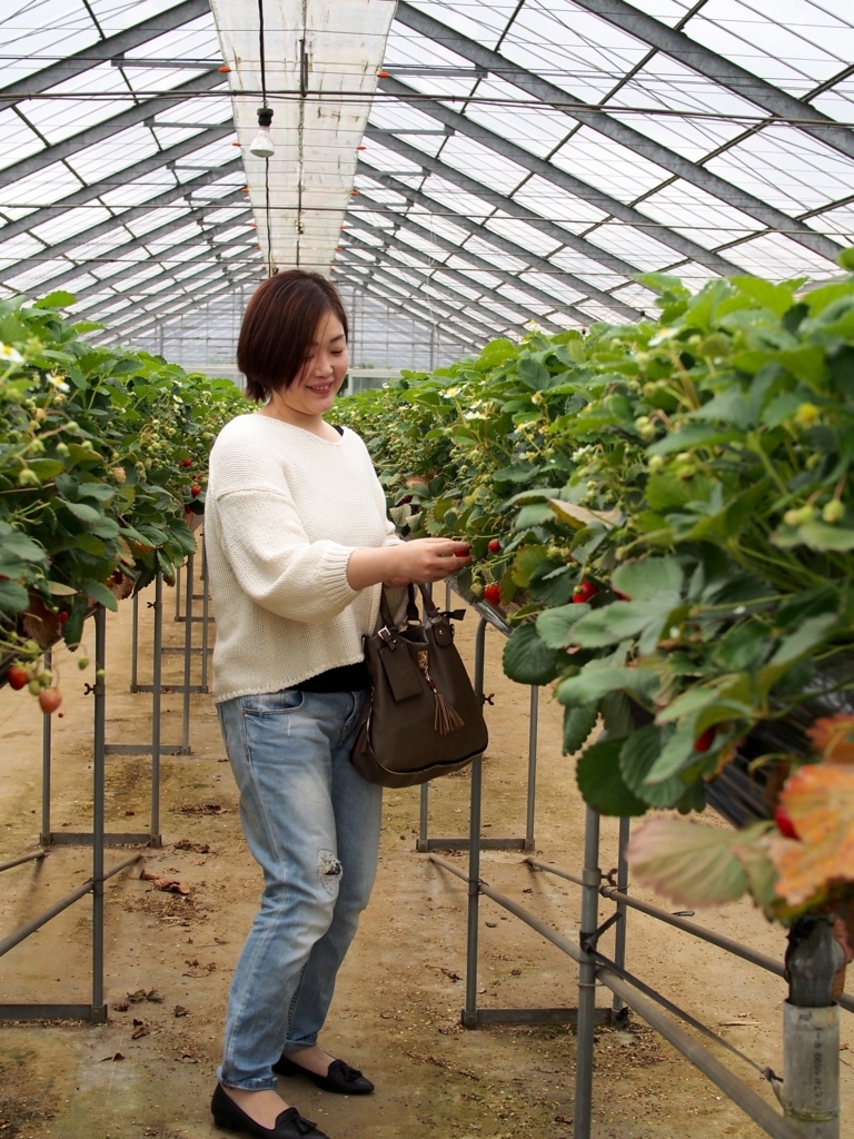 f:id:edatabi:20180511144740j:plain f:id:edatabi:20180511144740j:plain