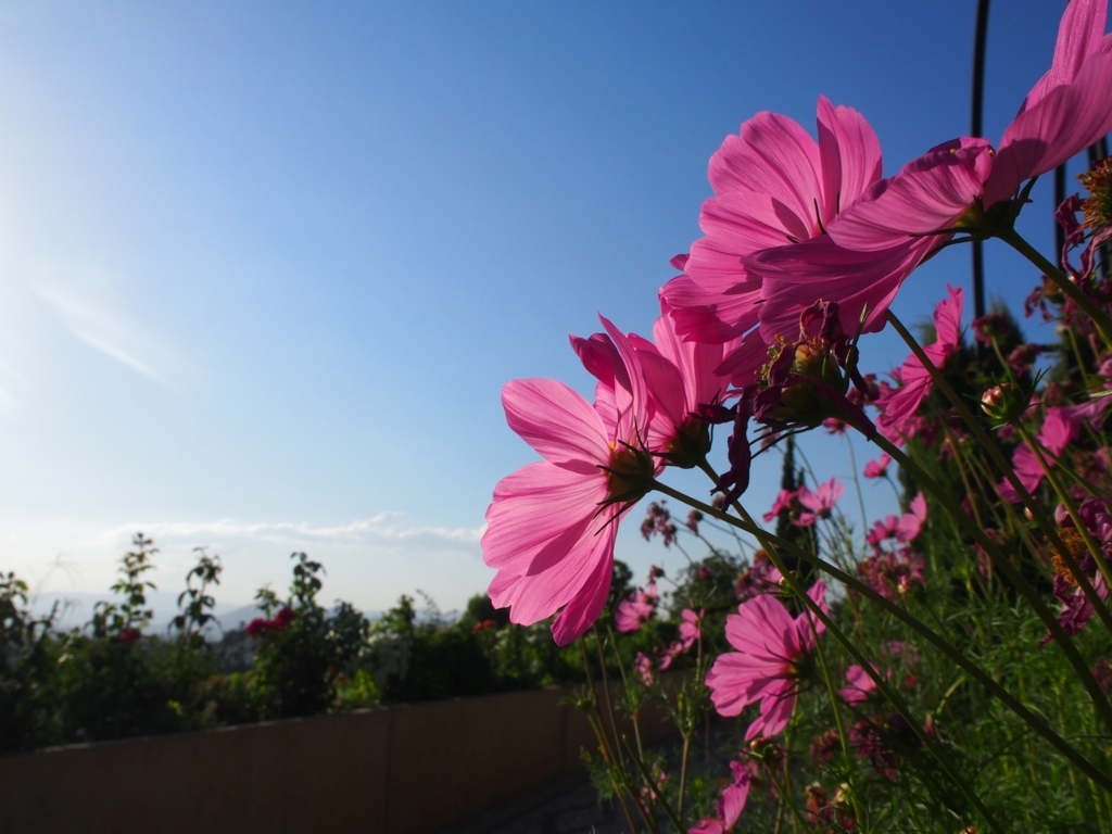 f:id:edatabi:20180517124239j:plain f:id:edatabi:20180517124239j:plain