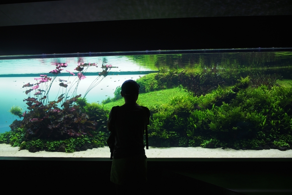 f:id:edatabi:20180517220900j:plain f:id:edatabi:20180517220900j:plain