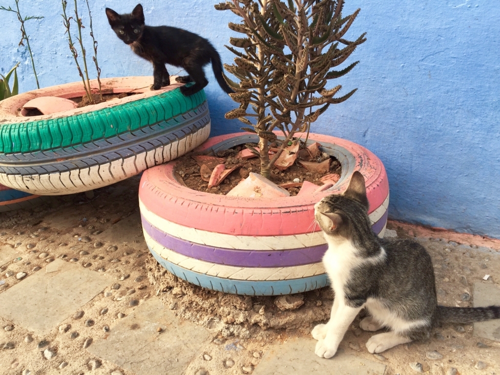 f:id:edatabi:20180608142622j:plain