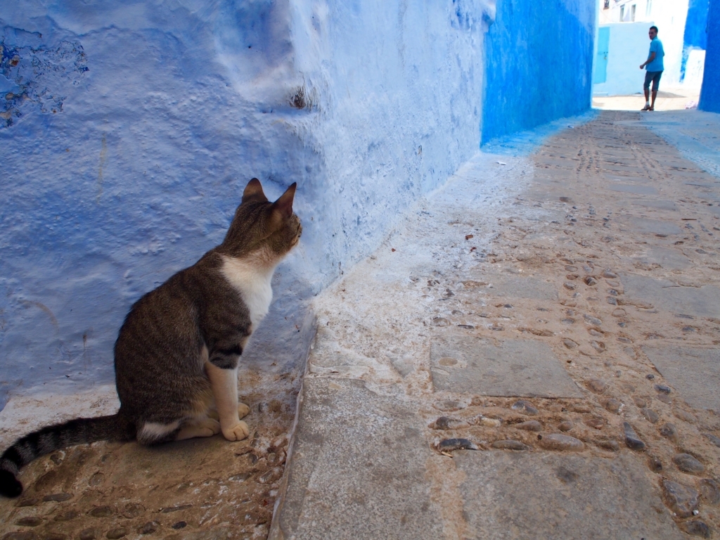 f:id:edatabi:20180608142955j:plain