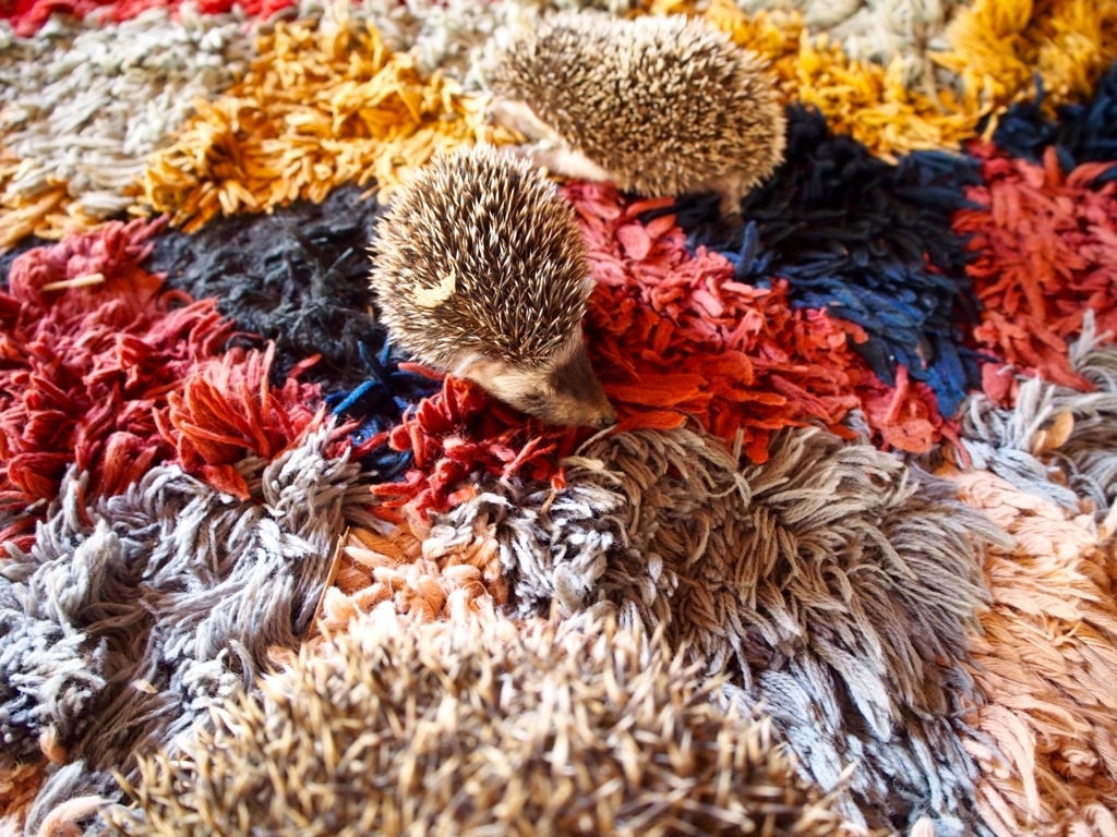 f:id:edatabi:20180615104104j:plain