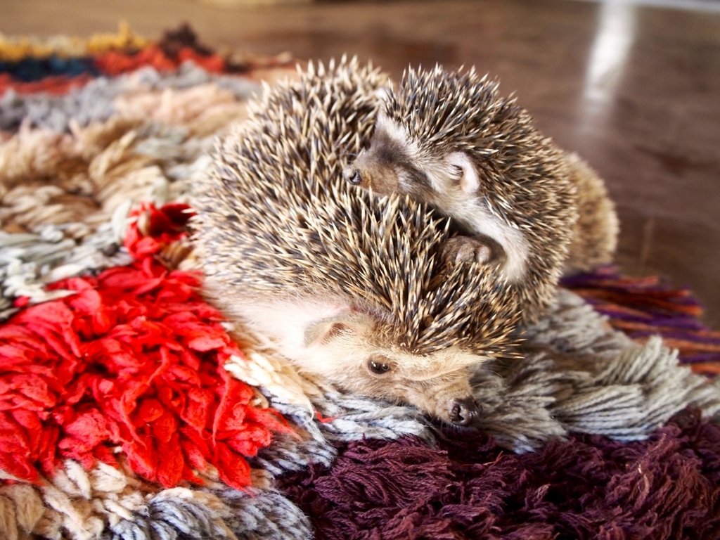 f:id:edatabi:20180615104141j:plain