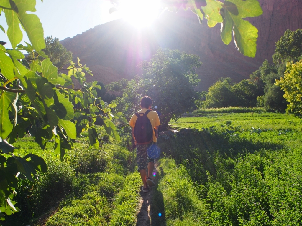 f:id:edatabi:20180615120053j:plain