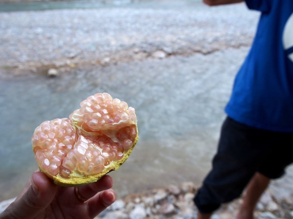 f:id:edatabi:20180615120156j:plain