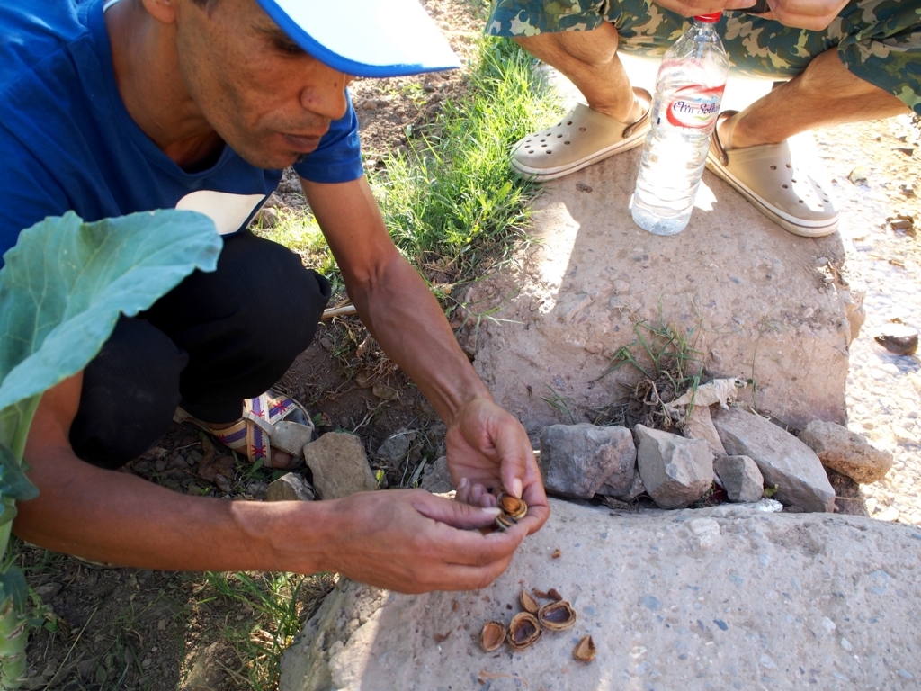 f:id:edatabi:20180615120227j:plain