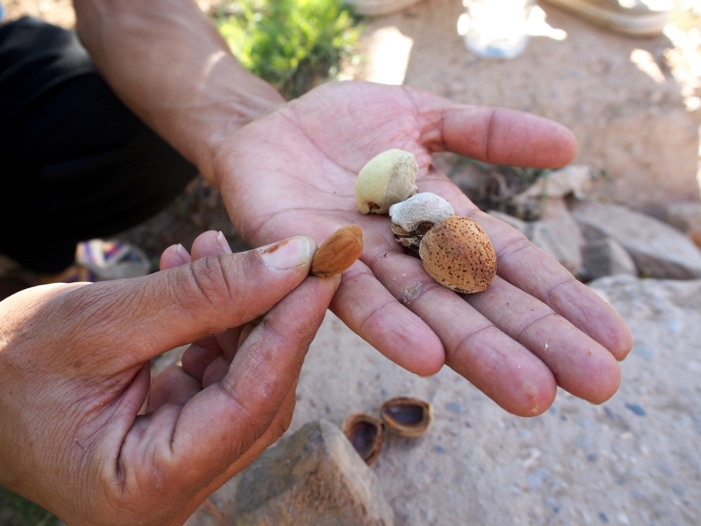 f:id:edatabi:20180615120250j:plain