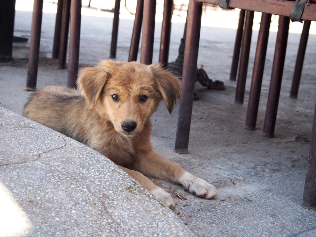 f:id:edatabi:20180615124440j:plain