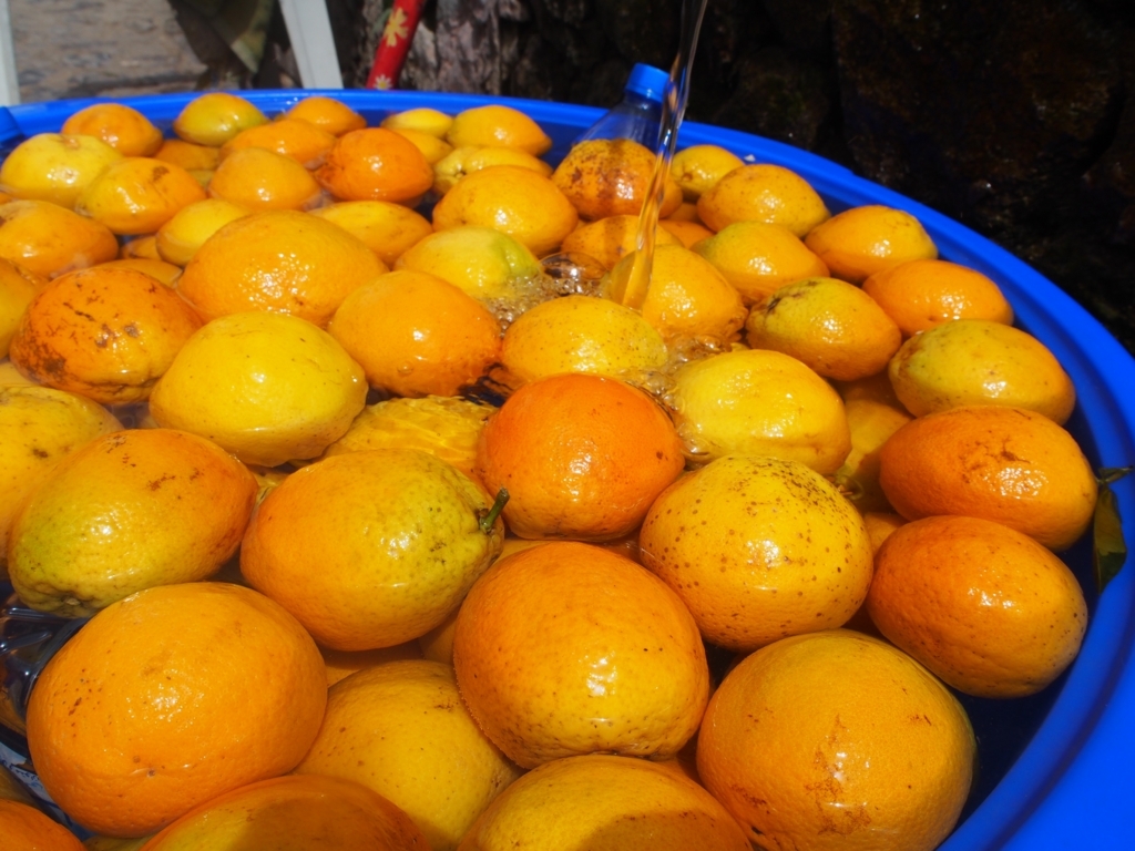 f:id:edatabi:20180620154803j:plain