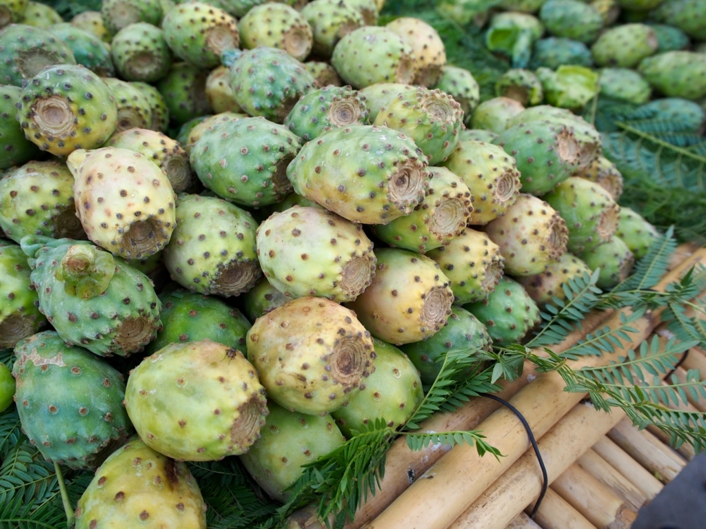 f:id:edatabi:20180714101200j:plain