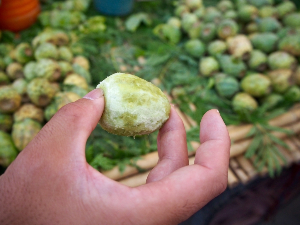 f:id:edatabi:20180714101223j:plain