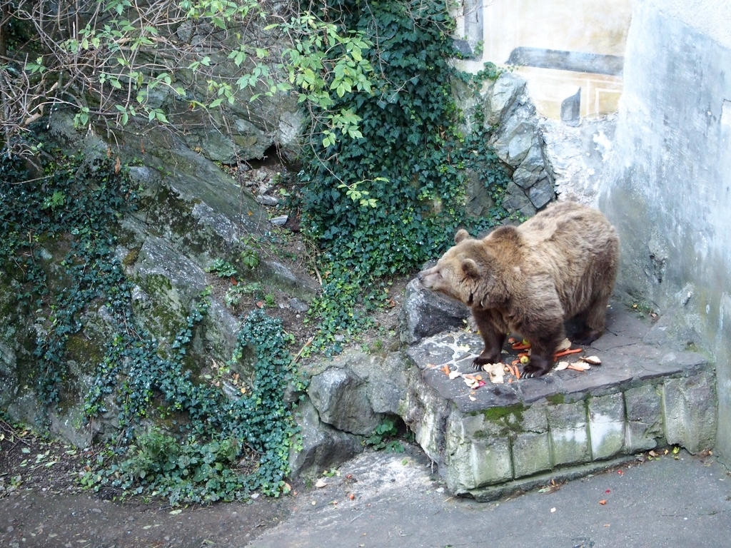 f:id:edatabi:20180927114906j:plain f:id:edatabi:20180927114906j:plain