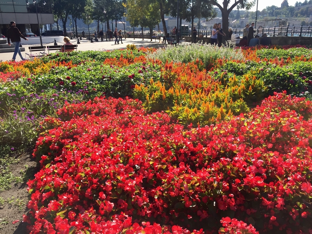 f:id:edatabi:20181016210939j:plain