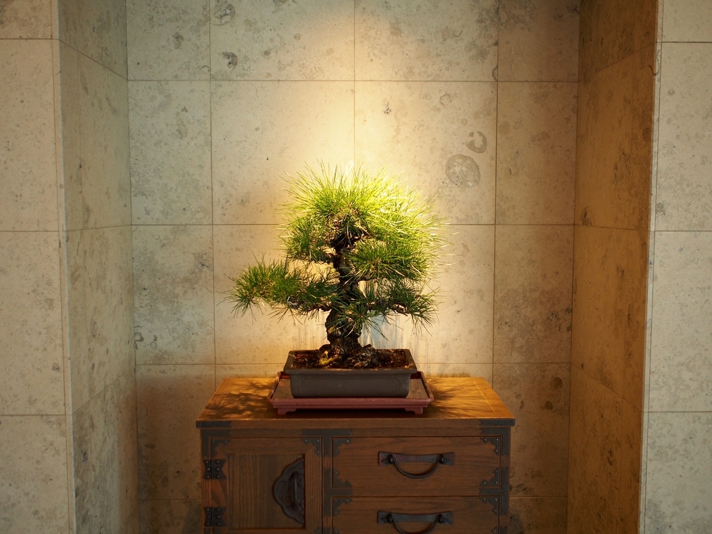 f:id:edatabi:20181120094627j:plain f:id:edatabi:20181120094627j:plain