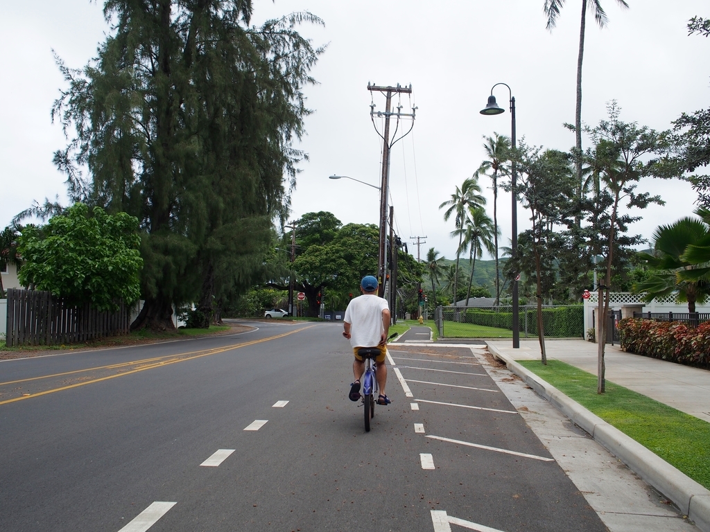 f:id:edatabi:20190126230539j:plain f:id:edatabi:20190126230539j:plain