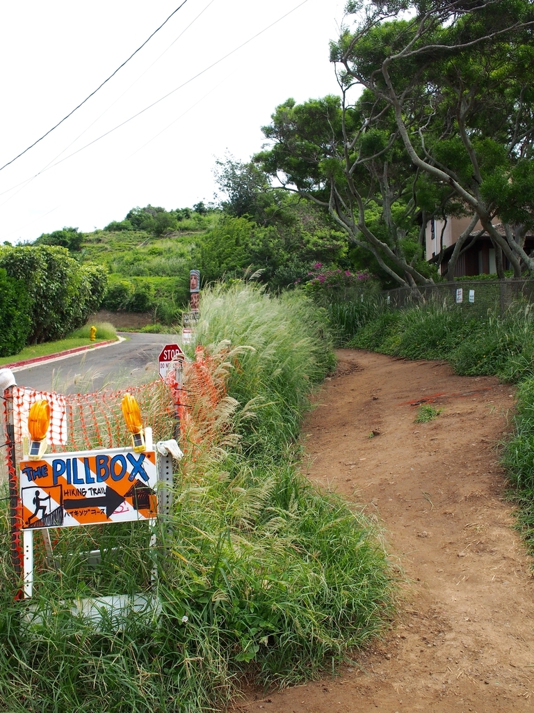 f:id:edatabi:20190126230643j:plain f:id:edatabi:20190126230643j:plain