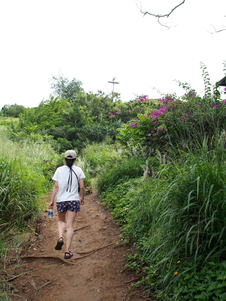 f:id:edatabi:20190126230711j:plain f:id:edatabi:20190126230711j:plain