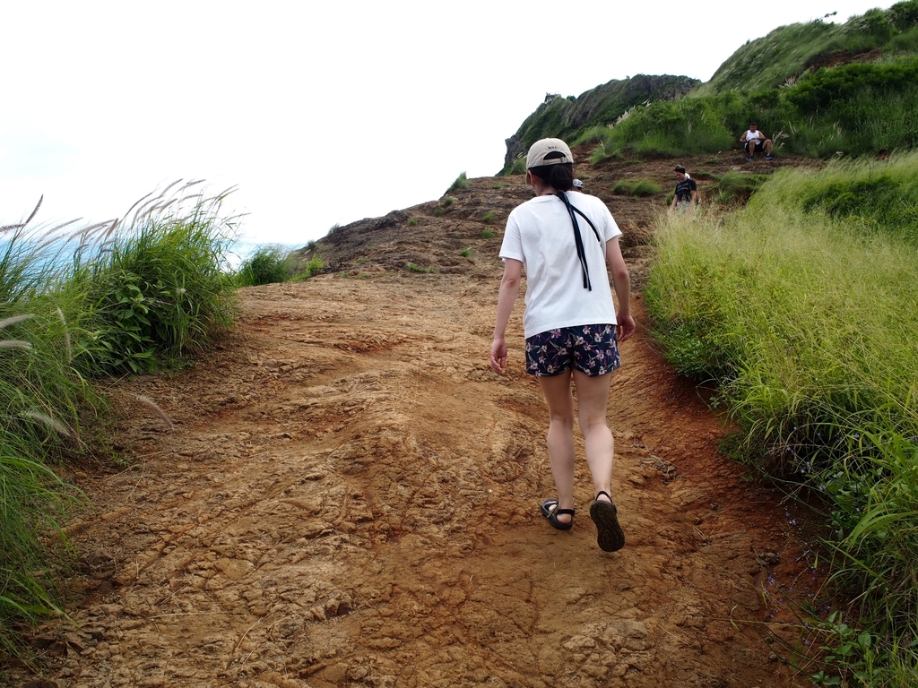 f:id:edatabi:20190126230826j:plain f:id:edatabi:20190126230826j:plain