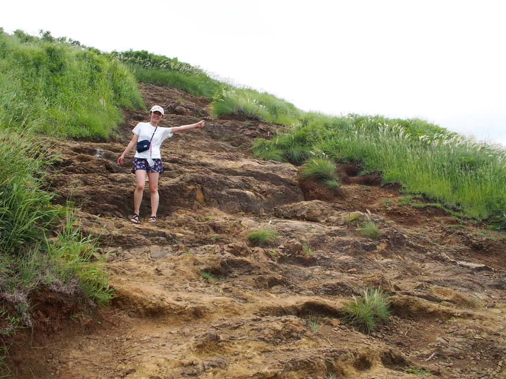 f:id:edatabi:20190126230906j:plain f:id:edatabi:20190126230906j:plain