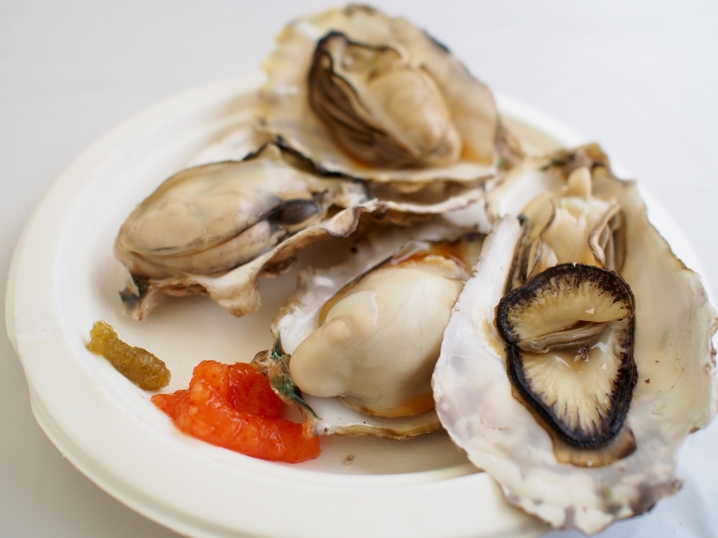 f:id:edatabi:20190218104101j:plain f:id:edatabi:20190218104101j:plain