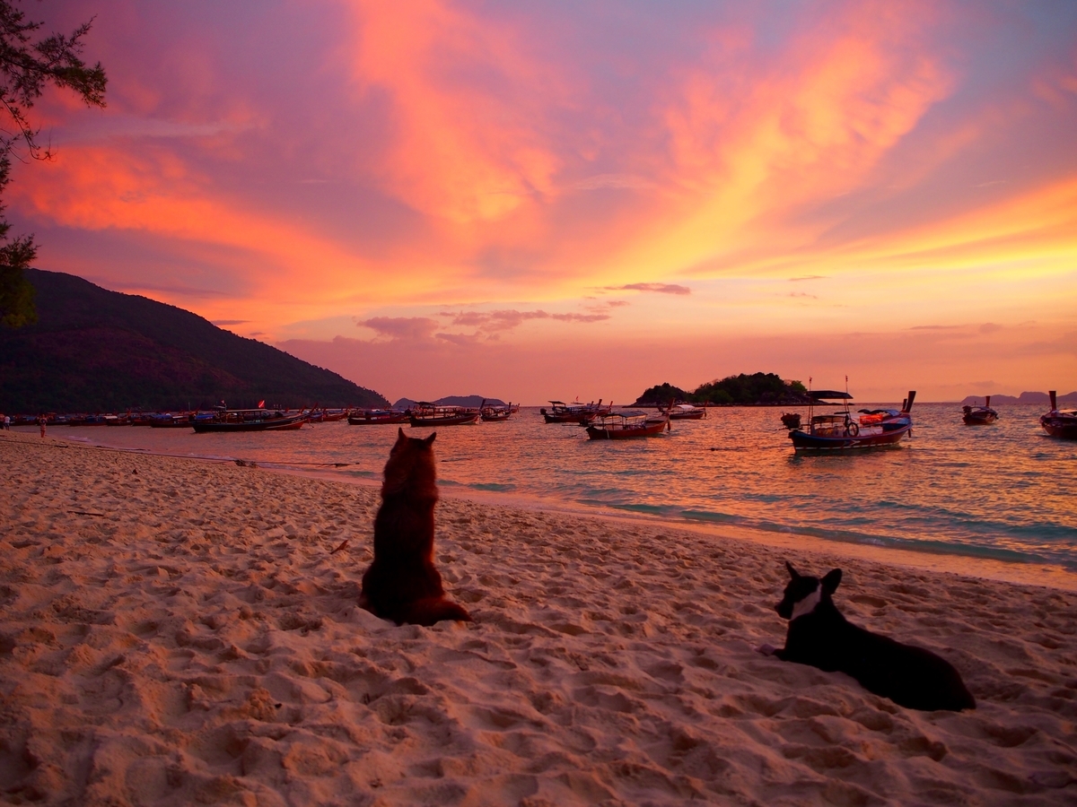 f:id:edatabi:20190429193853j:plain f:id:edatabi:20190429193853j:plain