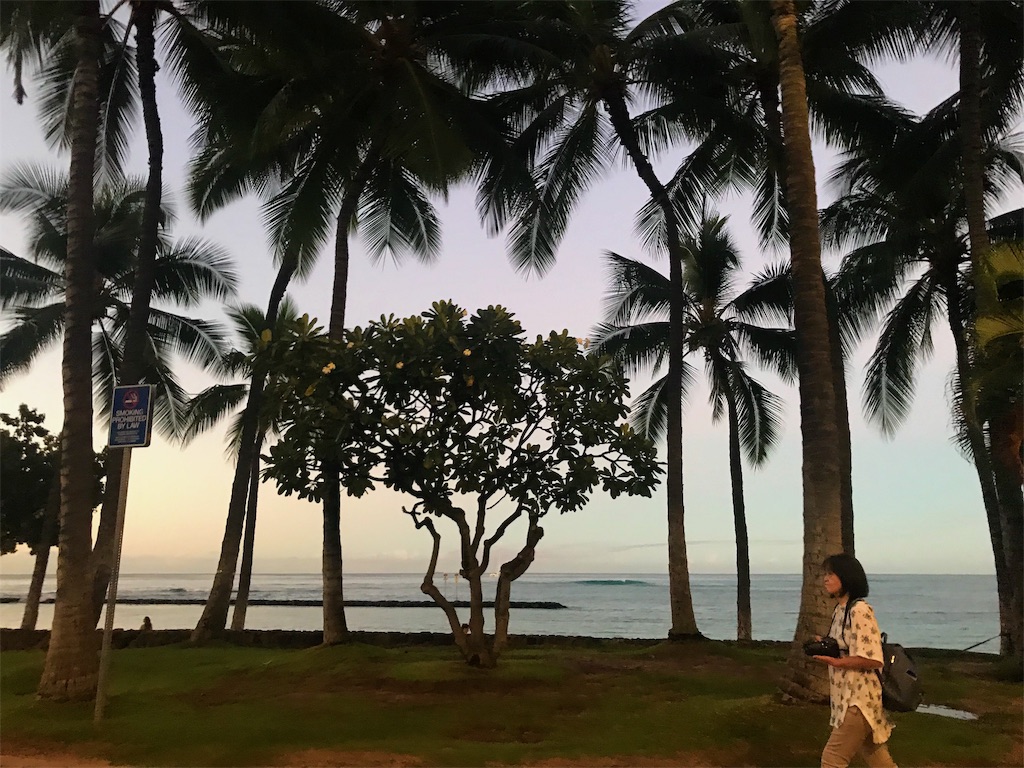 f:id:edatabi:20191215125833j:image f:id:edatabi:20191215125833j:image