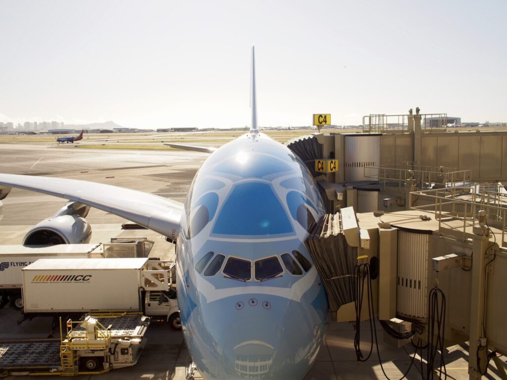A380 フライングホヌ