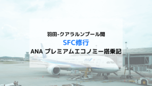 SFC修行ANAプレミアムエコノミー搭乗記