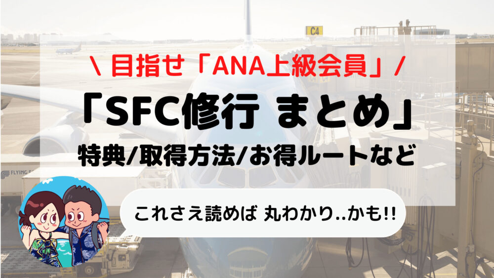 【SFC修行】目指せ「ANA上級会員」SFC情報まとめ(特典/取得方法/ルートなど)