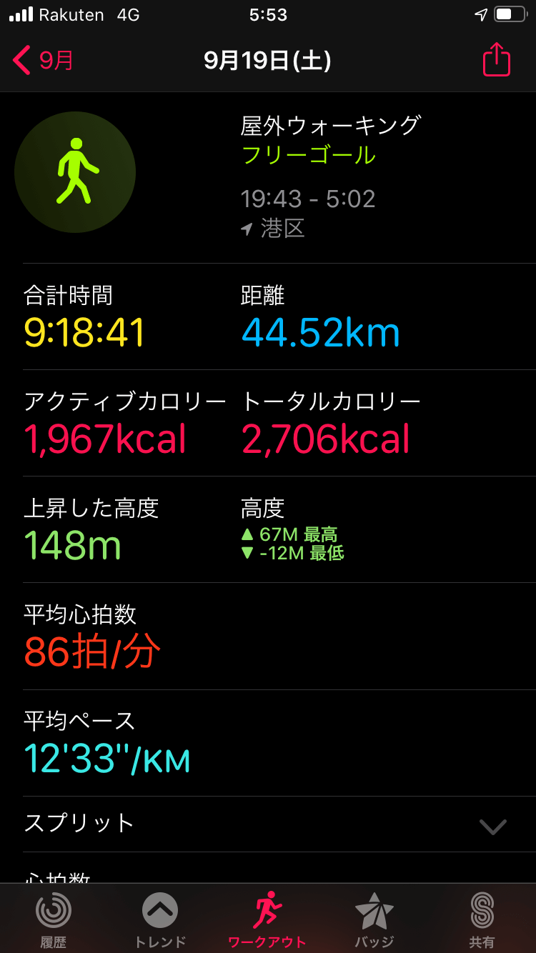 東京エクストリームウォーク 歩いた距離と消費カロリー