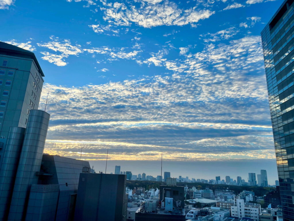 キンプトン新宿東京 朝焼け